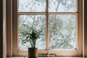 A potted plant adorns a window sill, adding a touch of nature to the indoor space.